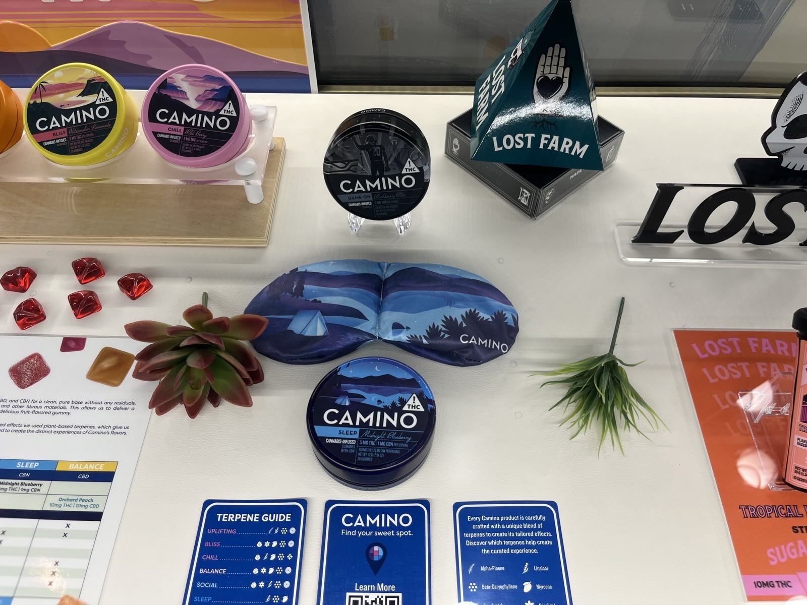 Can Store-Owned Brands Outperform Big Names in Cannabis Retail?